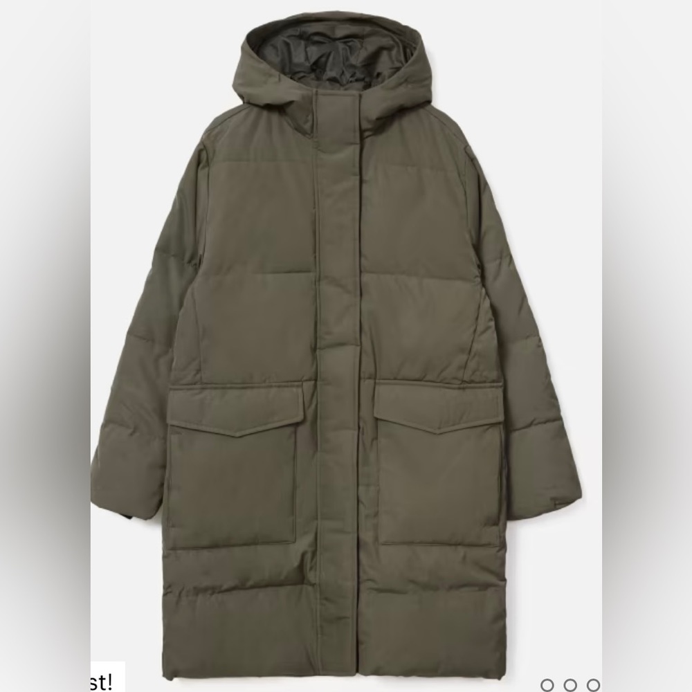 Everlane The ReNew Long Puffer jacket